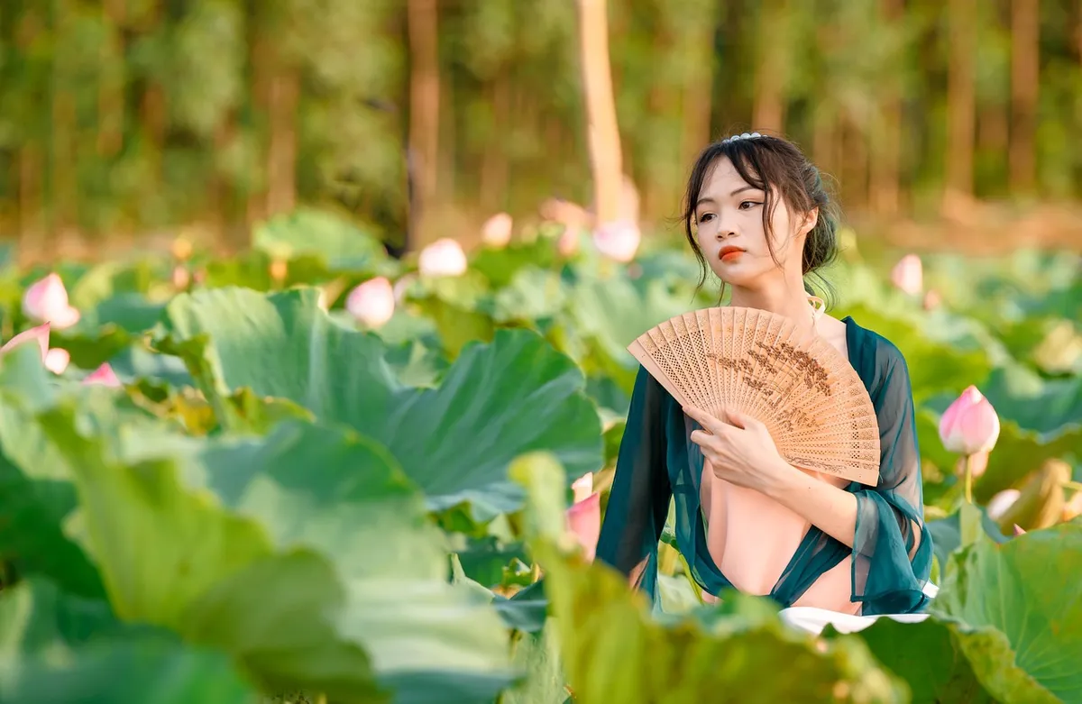 woman, flower wallpaper, flower background, model, flowers, nature, lotus flowers, fan, pond, beautiful flowers, bloom, style