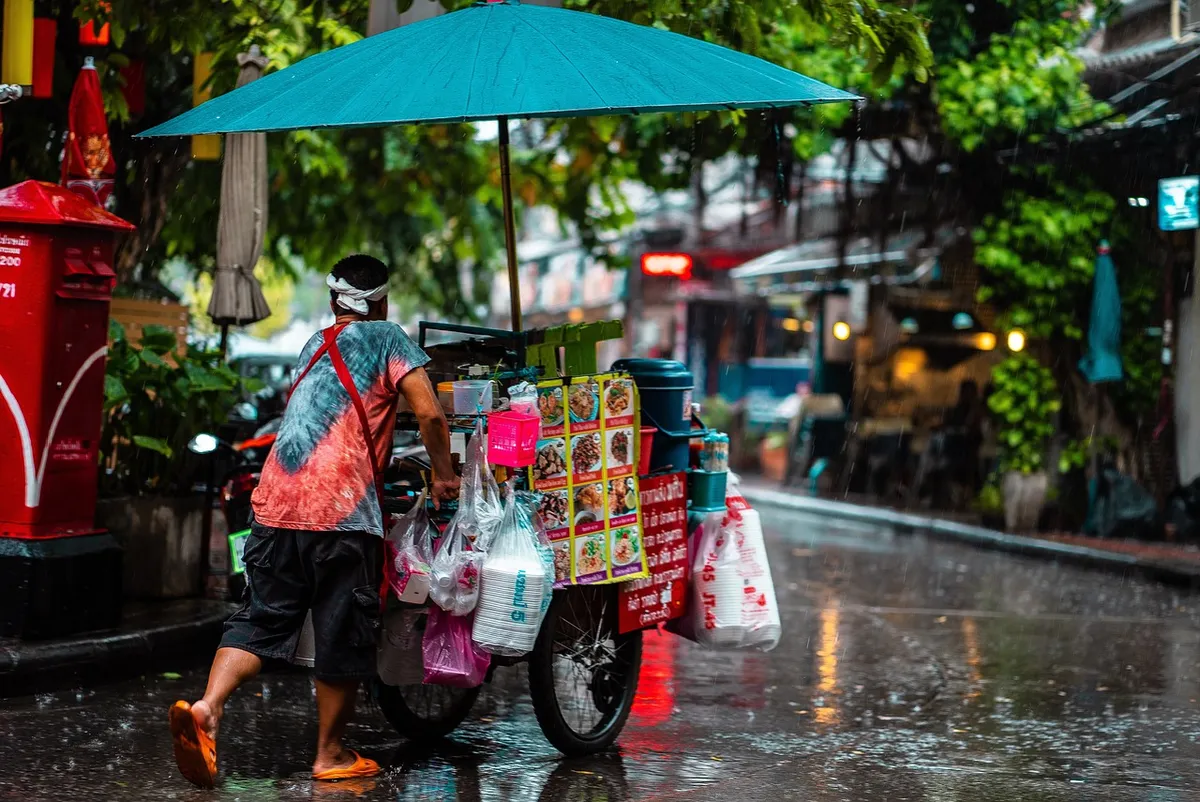 man, cart, nature, street food, culture, rain, umbrella, puddle, weather, wet, city