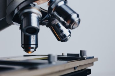 烹飪科學深度解析：如何將傳統食譜轉化為精準實作指南